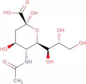 N-Acetylneuraminic acid