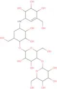 Validamycin E