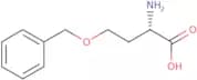 O-Benzyl-L-homoserine