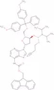 2'-Deoxy-5’-O-DMT-N6-Fmoc-adenosine 3'CE-phosphoramidite