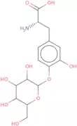 4'-O-(b-D-Glucopyranosyl)-L-DOPA