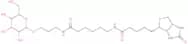 a-D-Galactose-sp-biotin