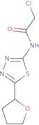 2-Chloro-N-[5-(oxolan-2-yl)-1,3,4-thiadiazol-2-yl]acetamide