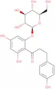 Phloridzin