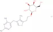 Thiamine galactoside