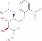 2-Nitrophenyl-N-acetyl-beta-D-glucosaminide