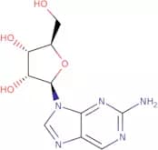 2-Amino-9-(b-D-ribofuranosyl)purine