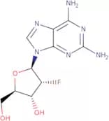 2-Amino-2'-deoxy-2'-fluoroadenosine