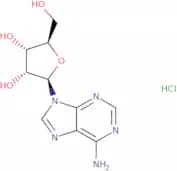 Adenosine HCl