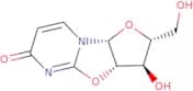 2,2'-Anhydrouridine