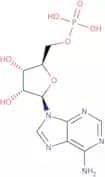 Adenosine 5'-monophosphate