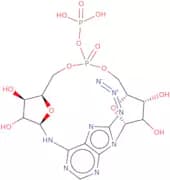 8-Azidocyclic adenosine diphosphate ribose