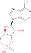 Adenosine 3',5'-cyclic monophosphate