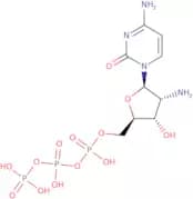 2'-Amino-2'-deoxycytidine-5'-triphosphate