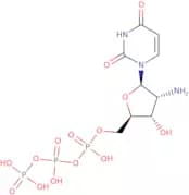 2'-Amino-2'-deoxyuridine-5'-triphosphate