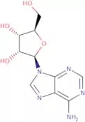 Adenosine - Endotoxin level below 100 EU/g