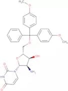 2’-Amino-2’-deoxy-5’-O-DMT-uridine