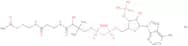Acetyl coenzyme A sodium salt
