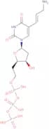 5-Aminoallyl 2'-deoxyuridine 5'-triphosphate lithium salt - 100mM aqueous solution