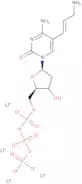 5-Aminoallyl 2'-deoxycytidine-5'-triphosphate lithium, 100mM aqueous solution