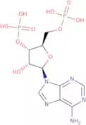 Adenosine 3',5'-bisphosphate triethylammonium salt - 10mM aqueous solution