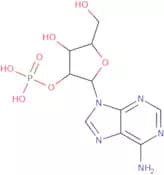 Adenosine-2'-monophosphate