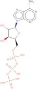 L-Adenosine 5'-triphosphate sodium salt