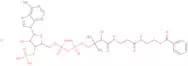 Benzoyl coenzyme A lithium salt
