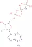 2'-Bromo-2'-deoxyadenosine-5'-[(beta,gamma)-imido]triphosphate triethylammonium salt - 10mM aqueou…