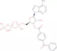 2'(3')-O-(4-Benzoyl)benzoyladenosine-5'-triphosphate triethylammonium salt