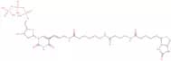 Biotin-16-deoxyuridine-5'-triphosphate, lithium salt - 1 mM aqueous solution