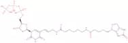 Biotin-11-deoxyuridine-5'-triphosphate, triethylammonium salt - 1 mM aqueous solution
