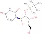 2'-O-tert-Butyldimethylsilyluridine