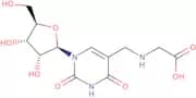 5-Carboxymethylaminomethyluridine