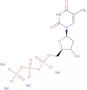 dNTP bundle, 4 x 100mM aqueous solution