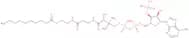 Decanoyl coenzyme A, free acid