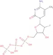 2'-Deoxy-2'-fluoro-5-methylcytidine 5'-triphosphate