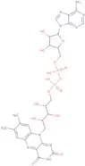 Flavin adenine dinucleotide