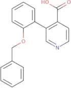 Zankiren