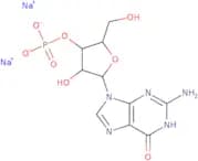 3′-Guanylic acid disodium