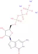 Guanosine 5'-triphosphate sodium salt hydrate