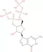 Guanosine 3',5'-bisdiphosphate lithium salt - 100mM aqueous solution