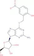 S-(2-Hydroxy-5-nitrobenzoyl)-6-thioguanosine