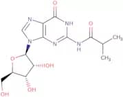 N2-Isobutyrylguanosine