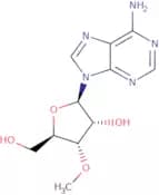 3'-O-Methyladenosine