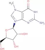 N7-Methylguanosine