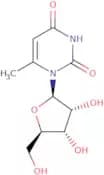 6-Methyluridine