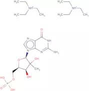 2'-C-Methylguanosine 5'-monophosphate triethyl ammonium salt - Aqueous solution