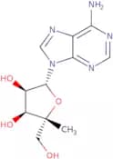 4'-a-C-Methyladenosine