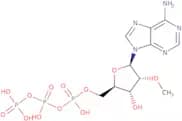 2'-O-Methyladenosine-5'-triphosphate sodium salt - 100mM aqueous solution